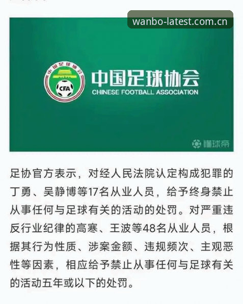 万博体育APP安卓版手机版 揭秘中国足协第三批禁足名单:65人受罚,足球反腐背后的行业乱象