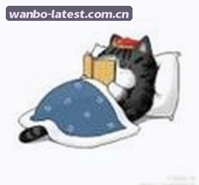孙莉